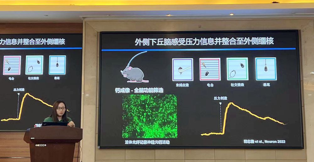 微信图片_20240529150326.jpg